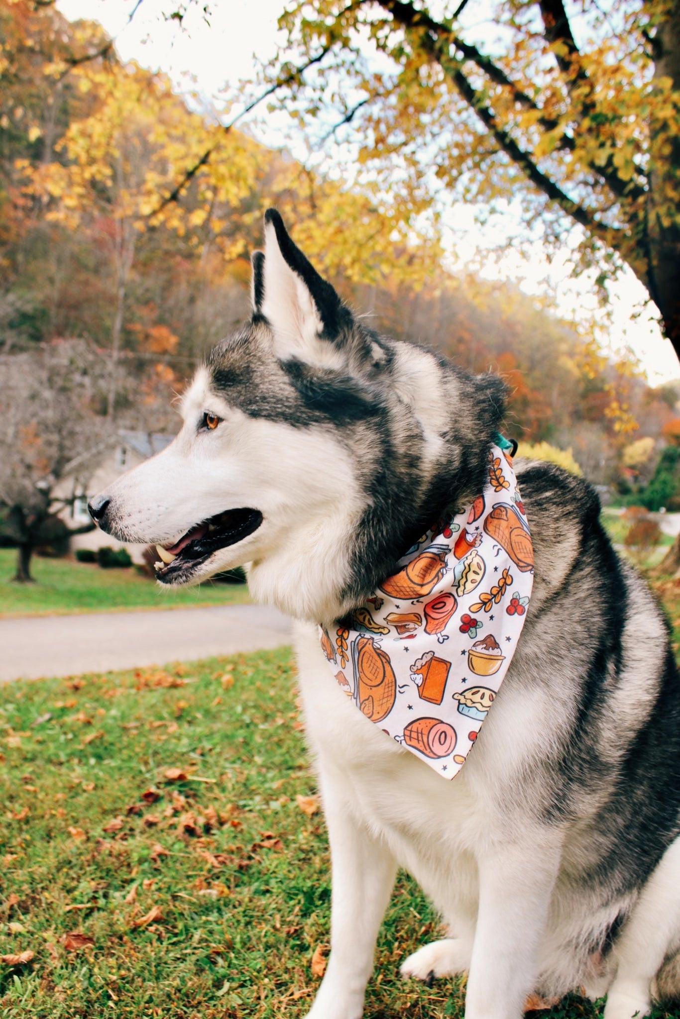 Thanksgiving Dinner Dog Bandana