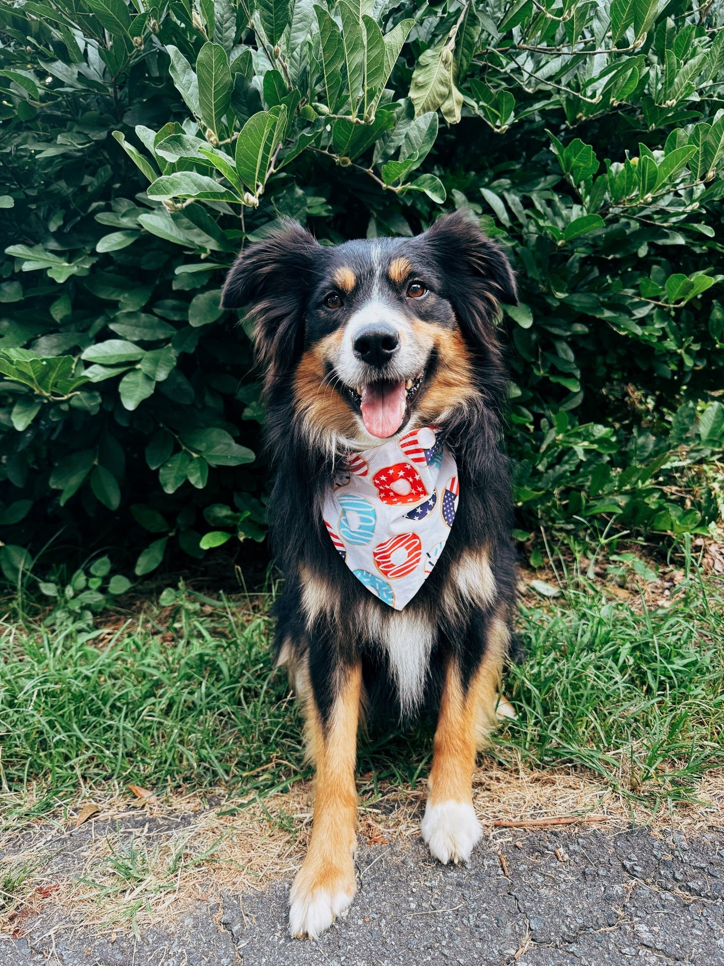 Glaze of Glory Dog Bandana