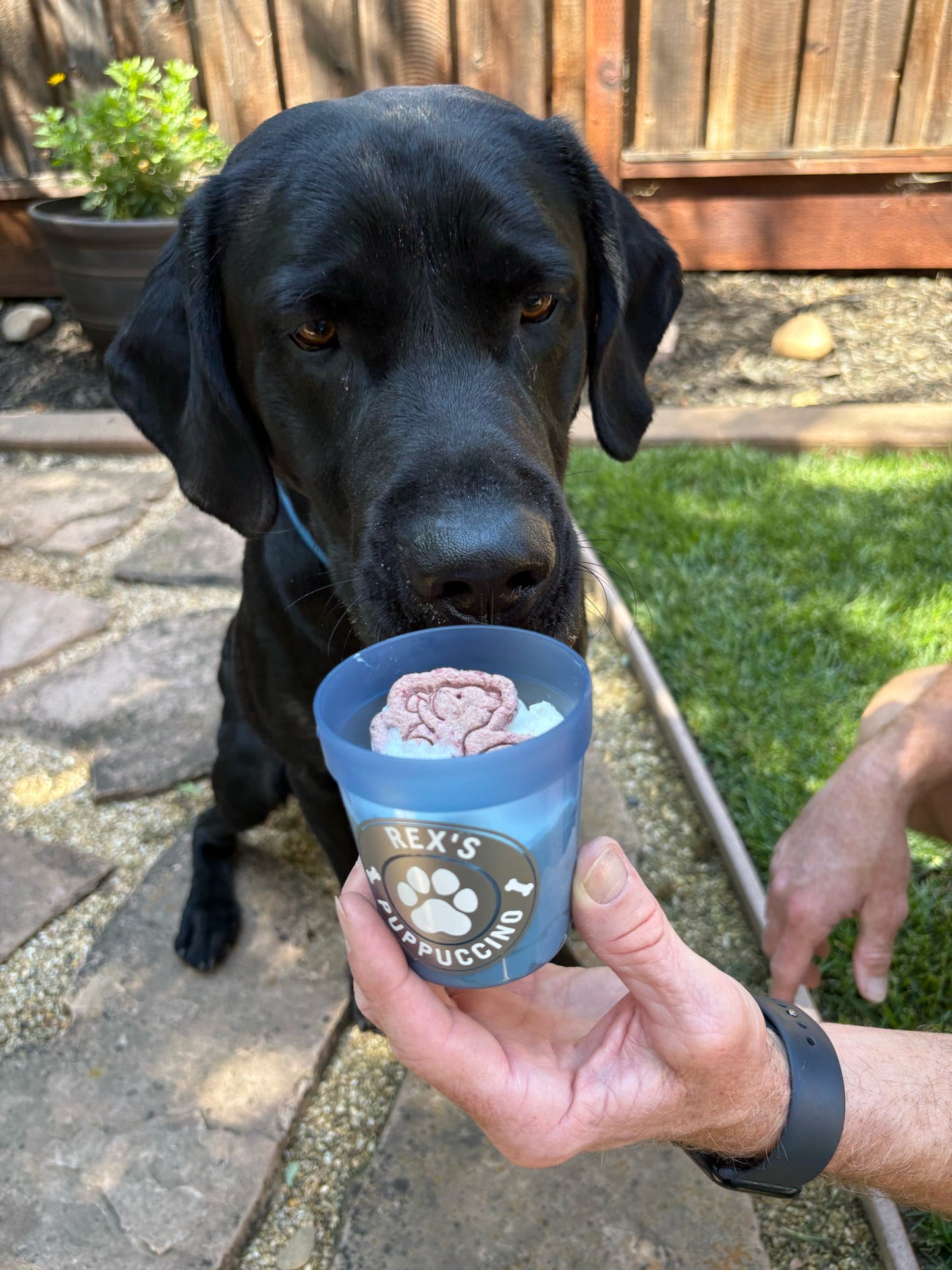 Custom Pup Cups