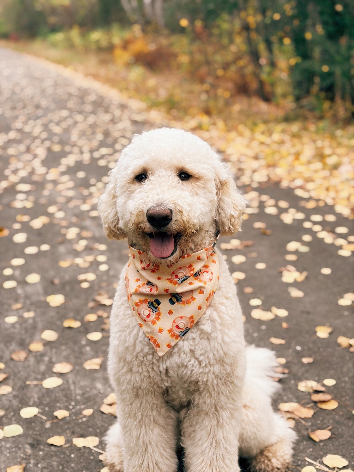 Candy Gobbler Dog Bandana