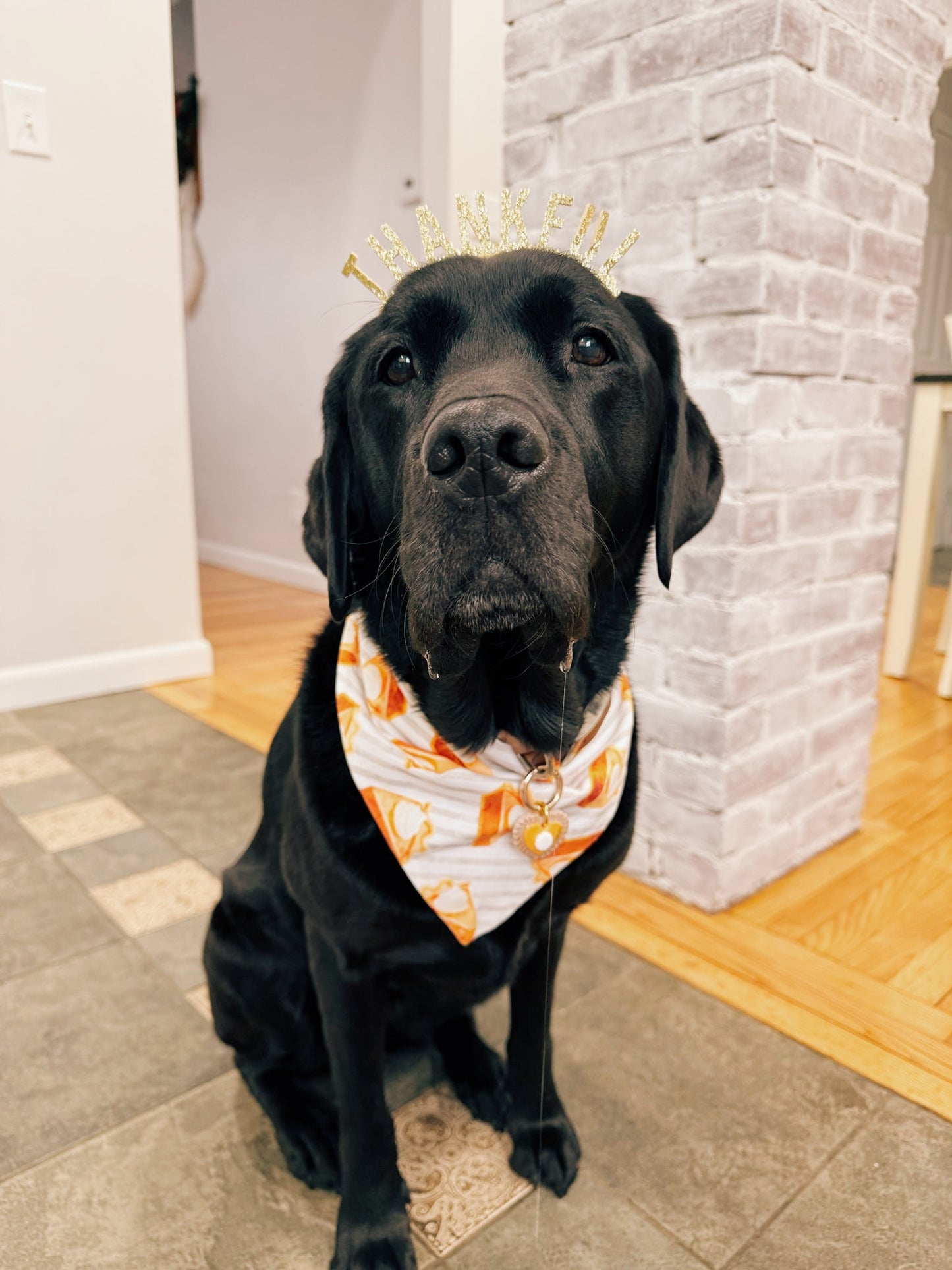 Pie There Dog Bandana