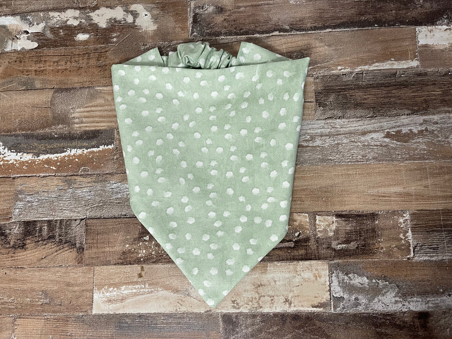 Cosmo Dog Bandana