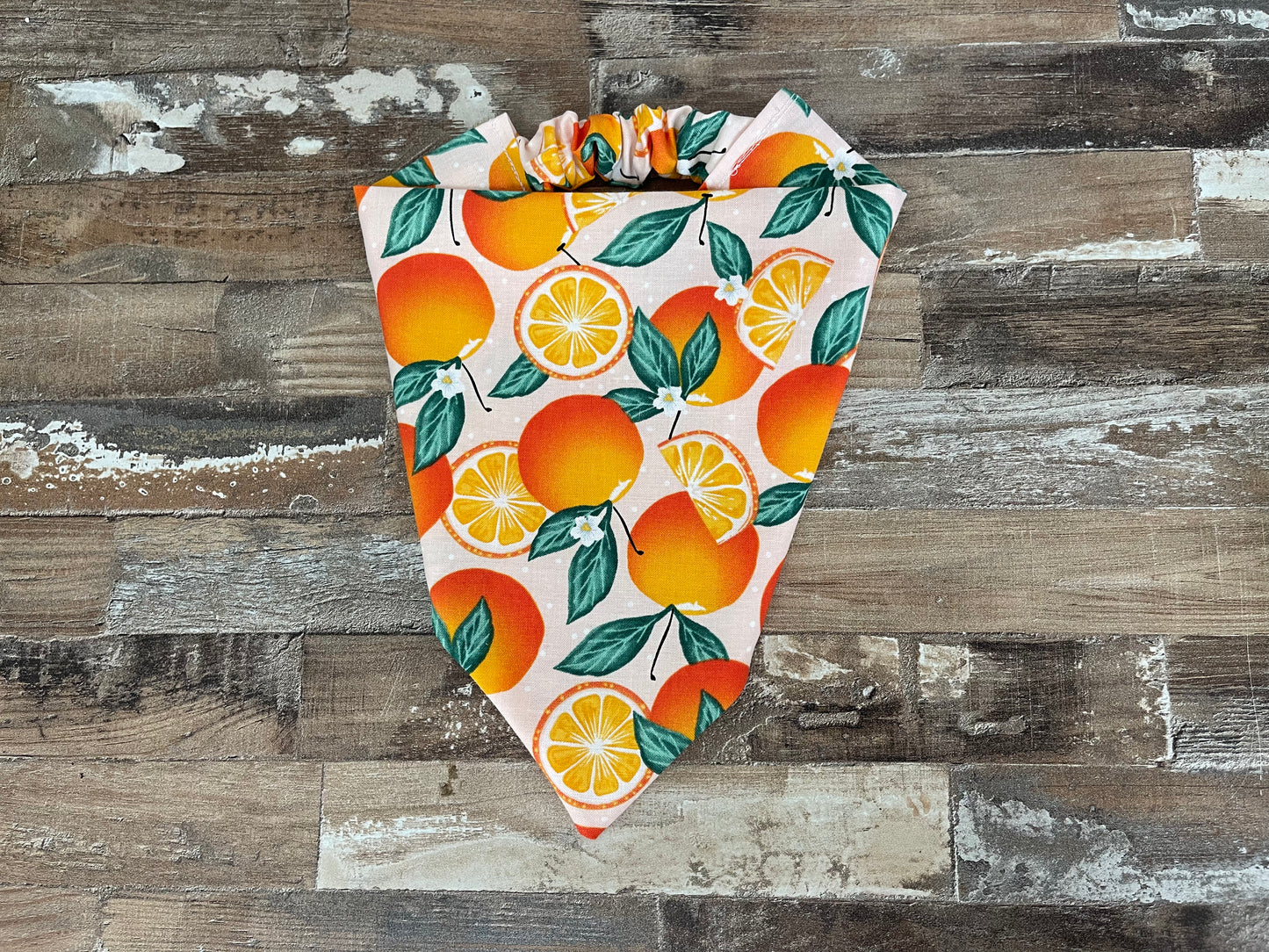 Simply the Zest Dog Bandana