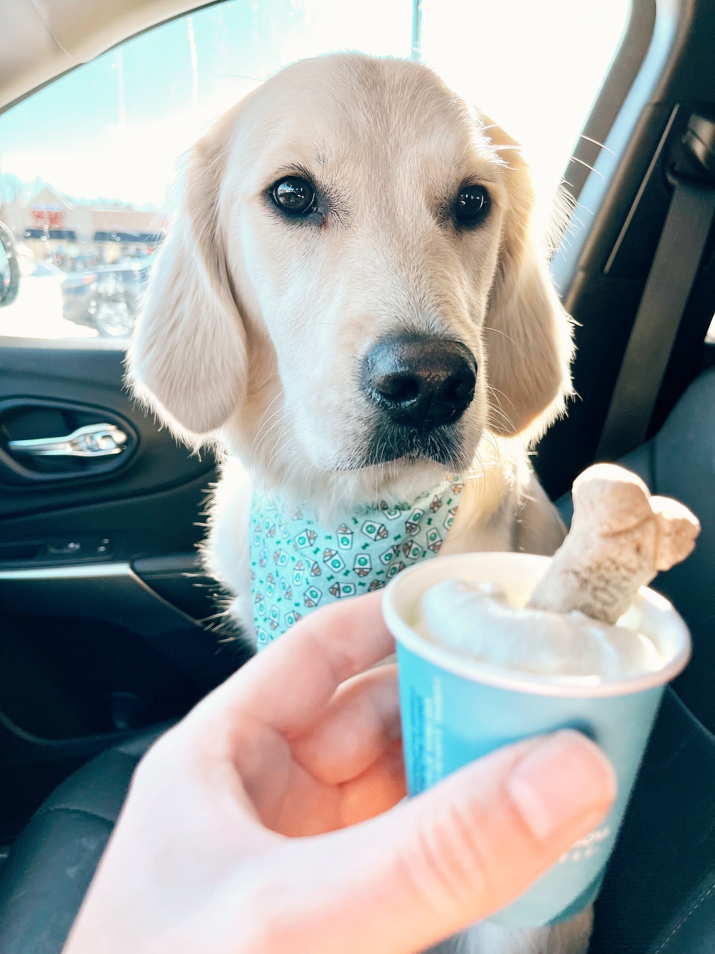 Puppuccino Scrunchie Dog Bandana