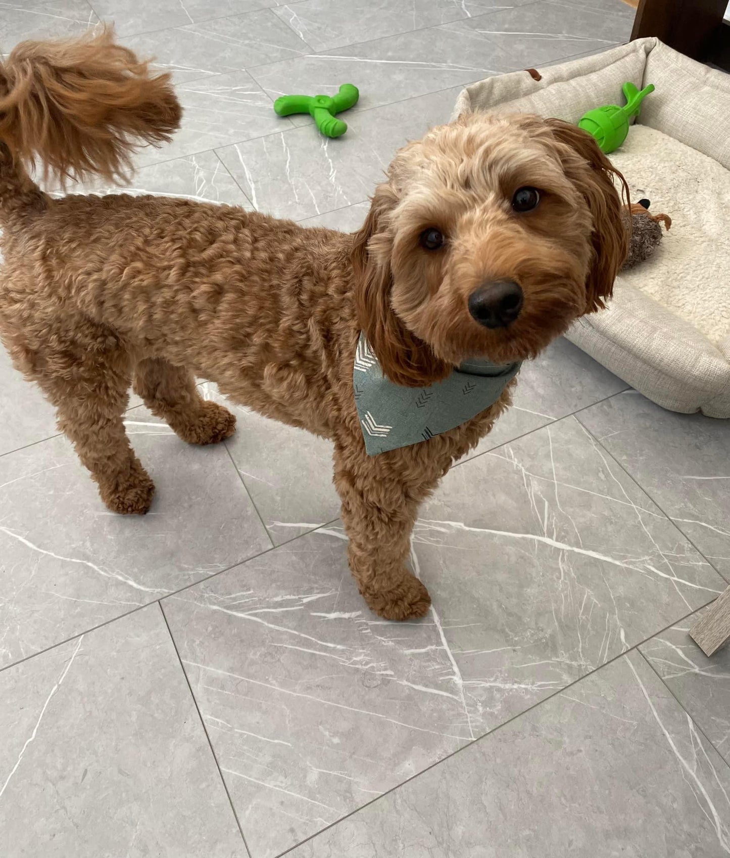 Green Chevron Dog Bandana