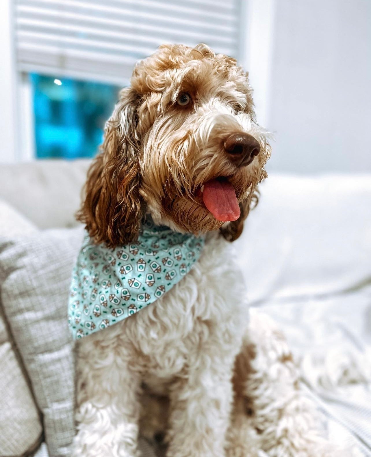 Puppuccino Scrunchie Dog Bandana