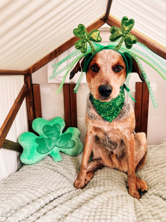 Lucky Pup Dog Bandana