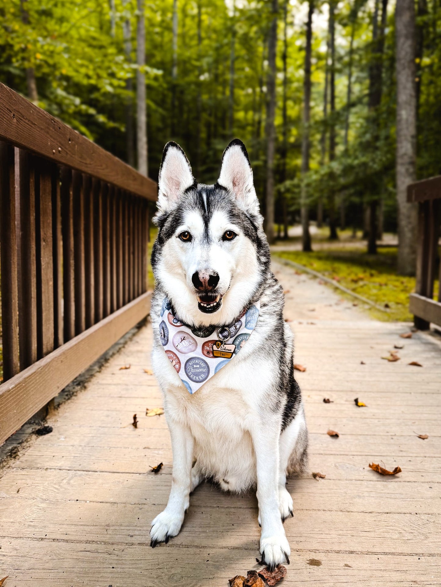 Pup Scout Dog Bandana