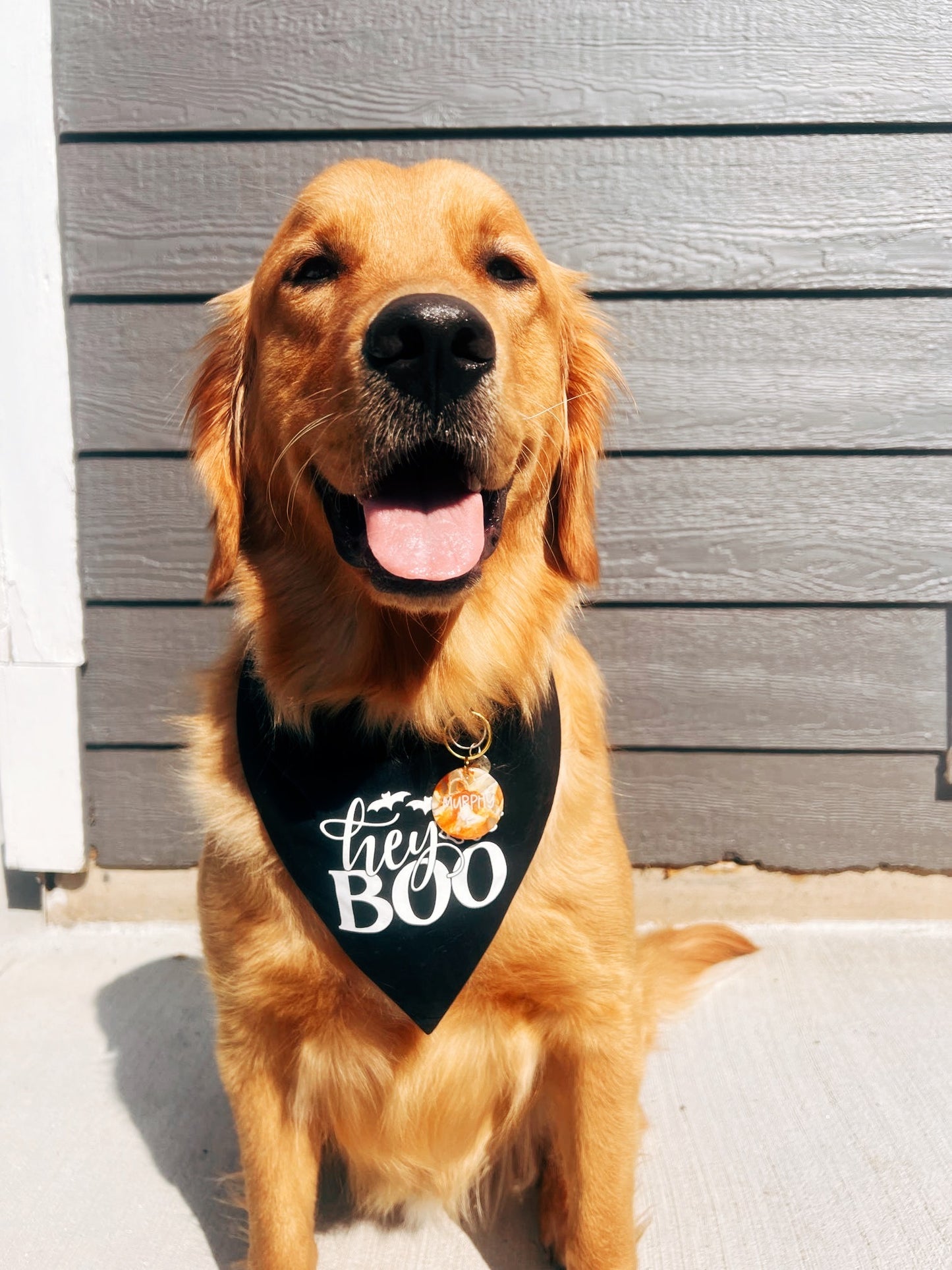 Hey Boo Dog Bandana