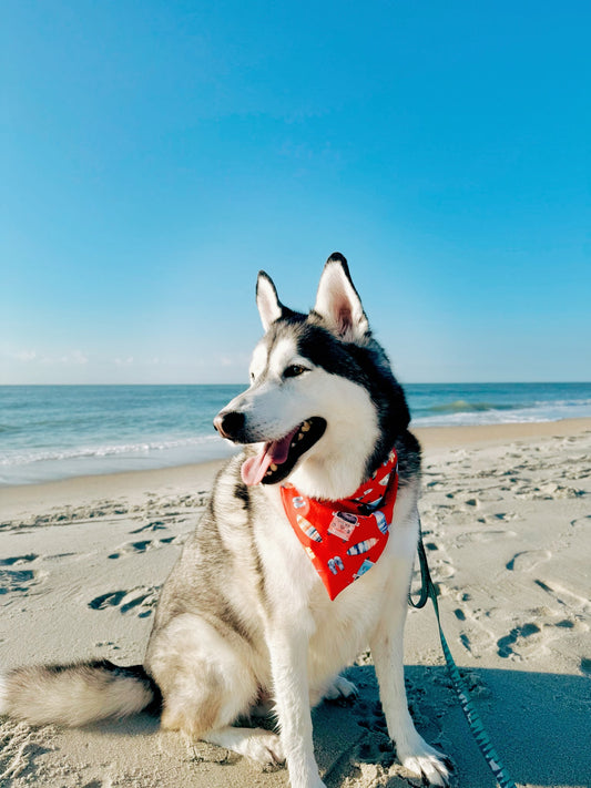 Aloha Swim Bandana