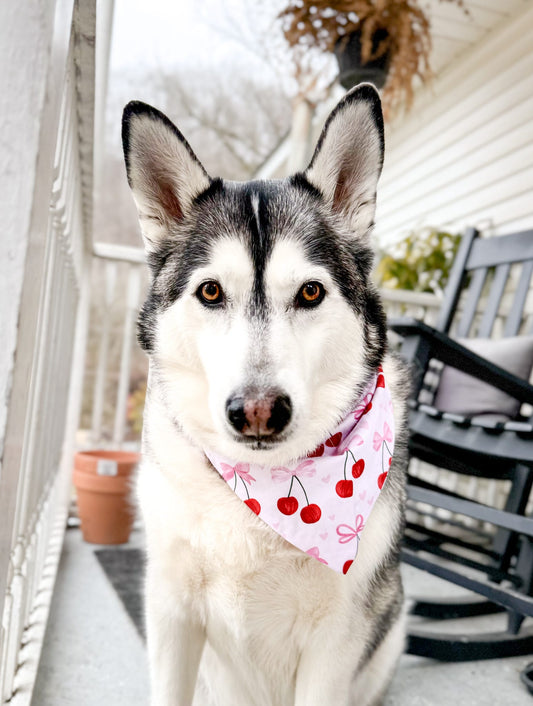 Mon Cherries Dog Bandana