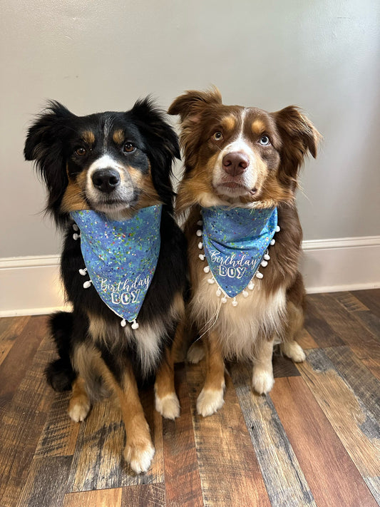 Birthday Boy Dog Bandana