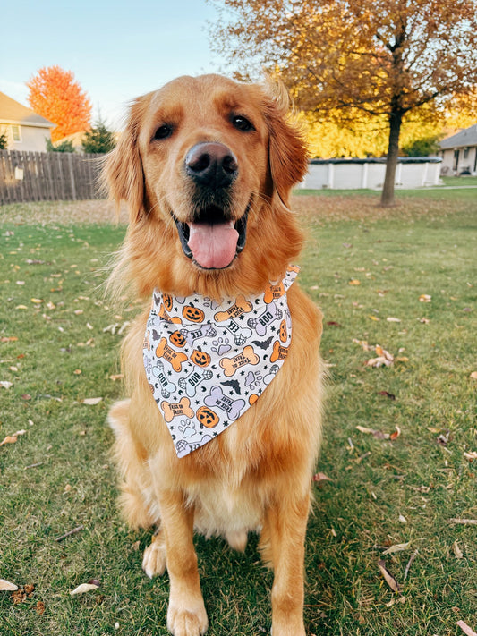 Get Spooky Dog Bandana