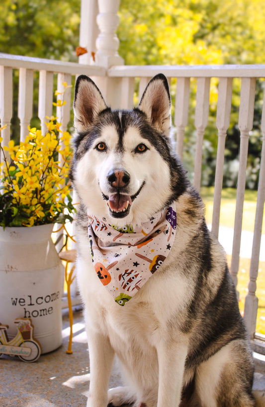 Haunted Orchard Dog Bandana