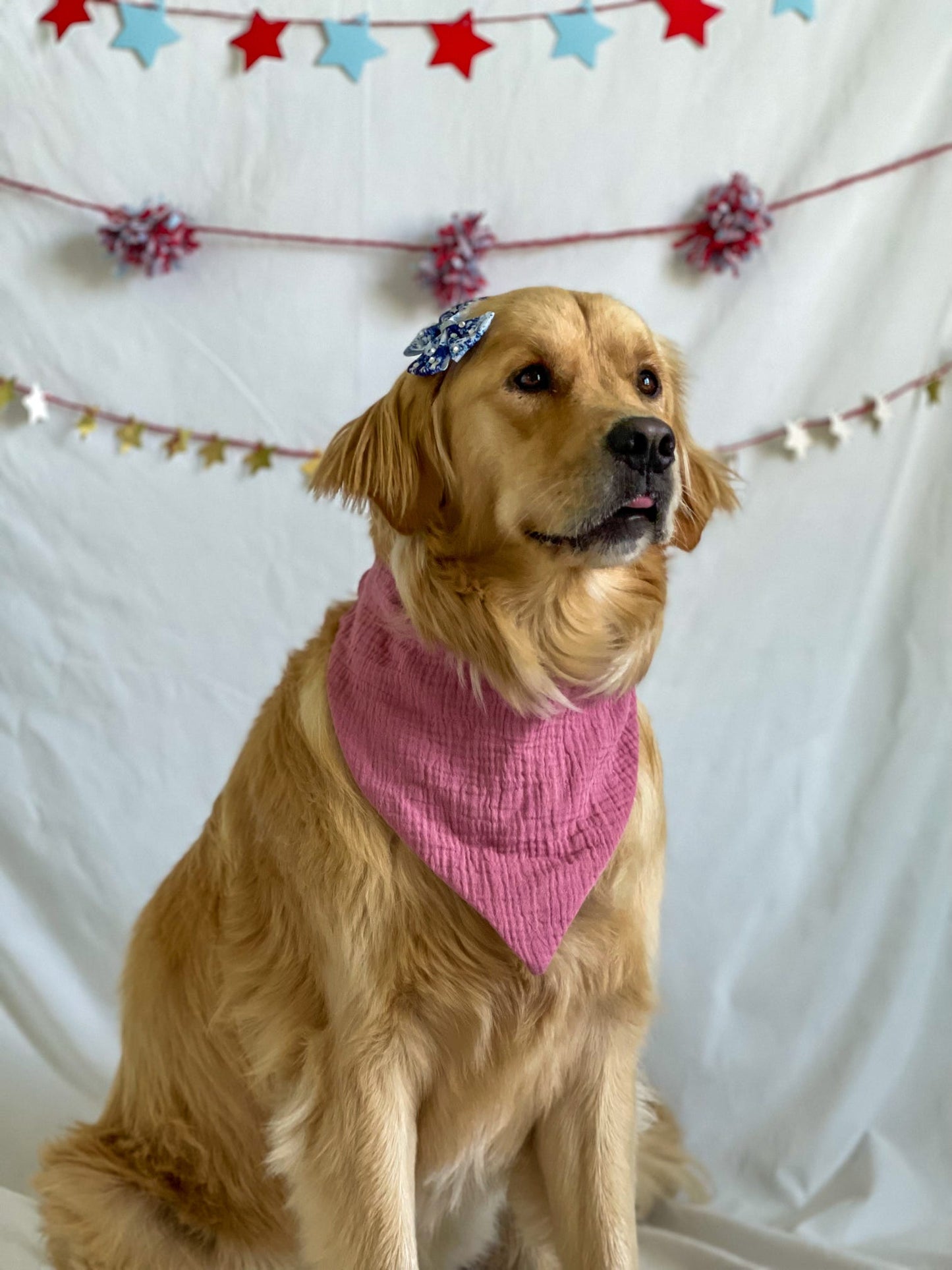 Mauve Magnolia Dog Bandana