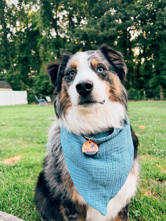 Ocean Blues Dog Bandana