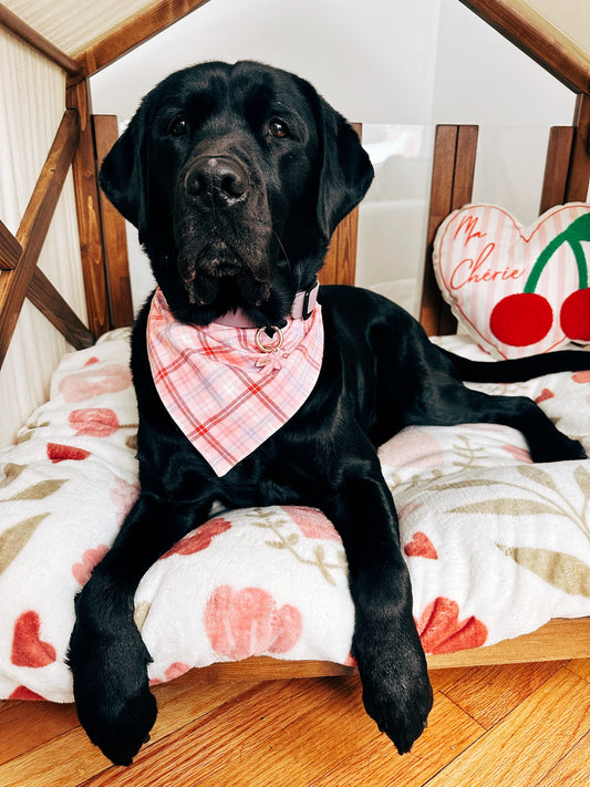 Picnic Fur Two Dog Bandana