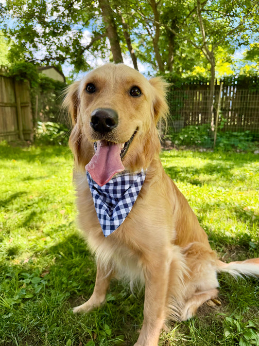 Midnight Americana Gingham Dog Bandana