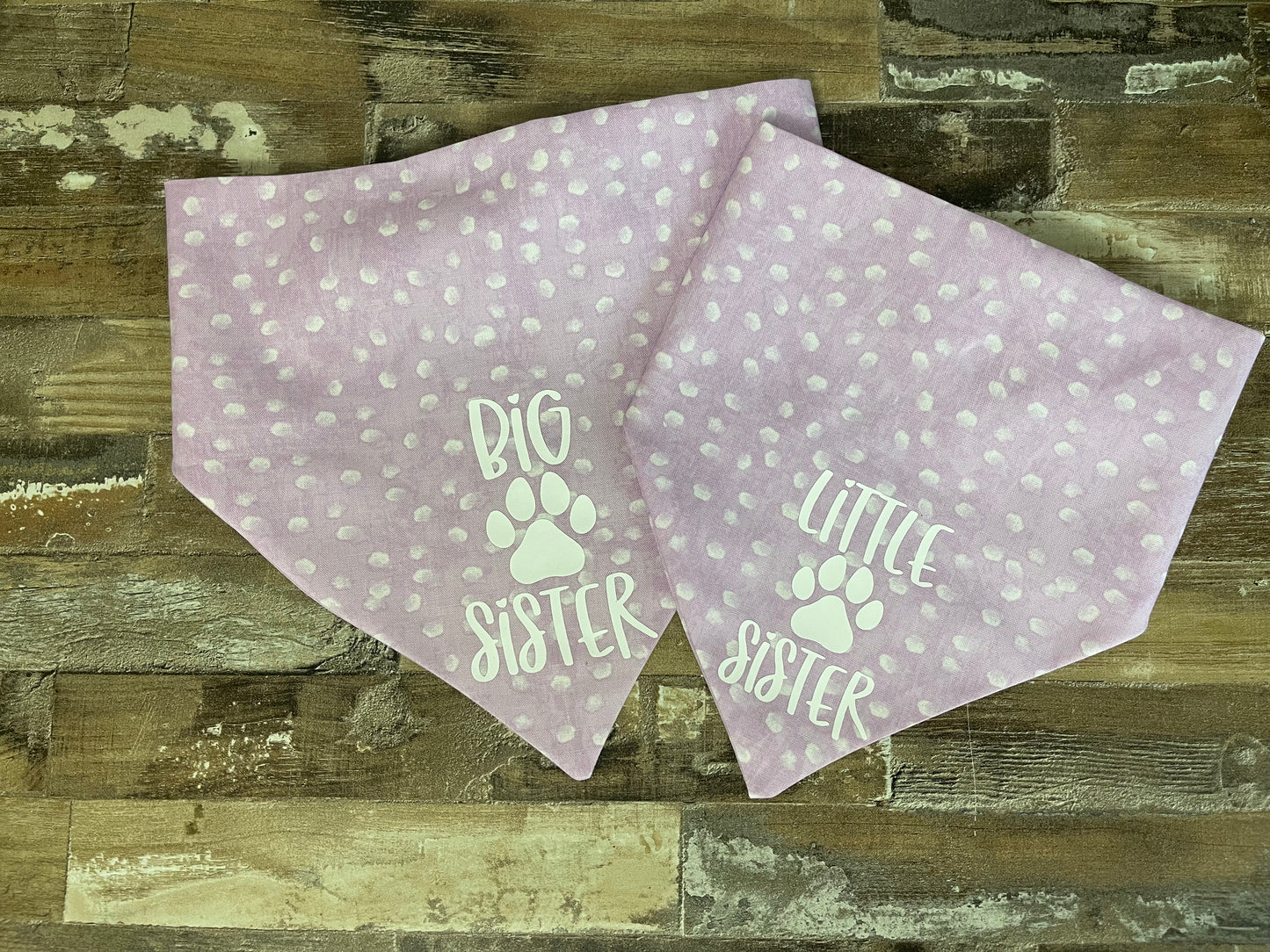 Little/Big Sis/Bro Dog Bandana
