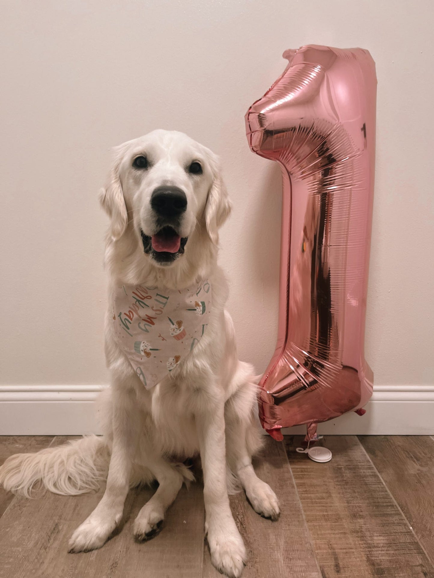 It’s My Barkday Dog Bandana