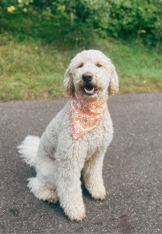 Leaf Pile Dog Bandana