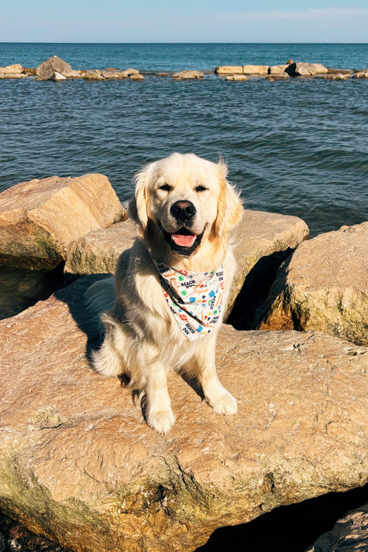 Beach Dog Bandana