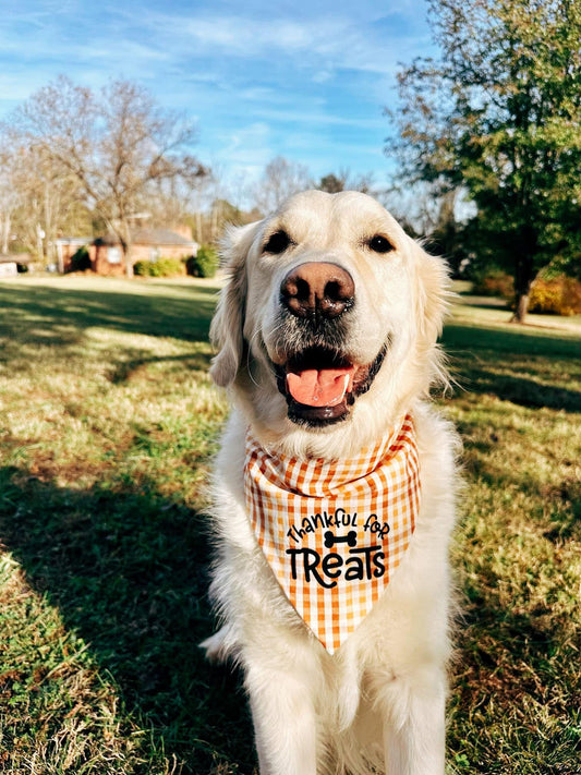 Thankful For Treats Dog Bandana