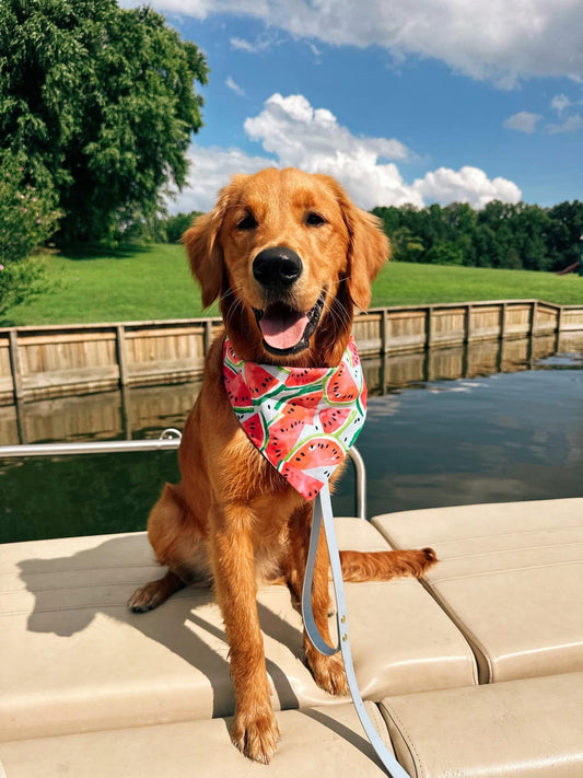Watermelon Dog Bandana