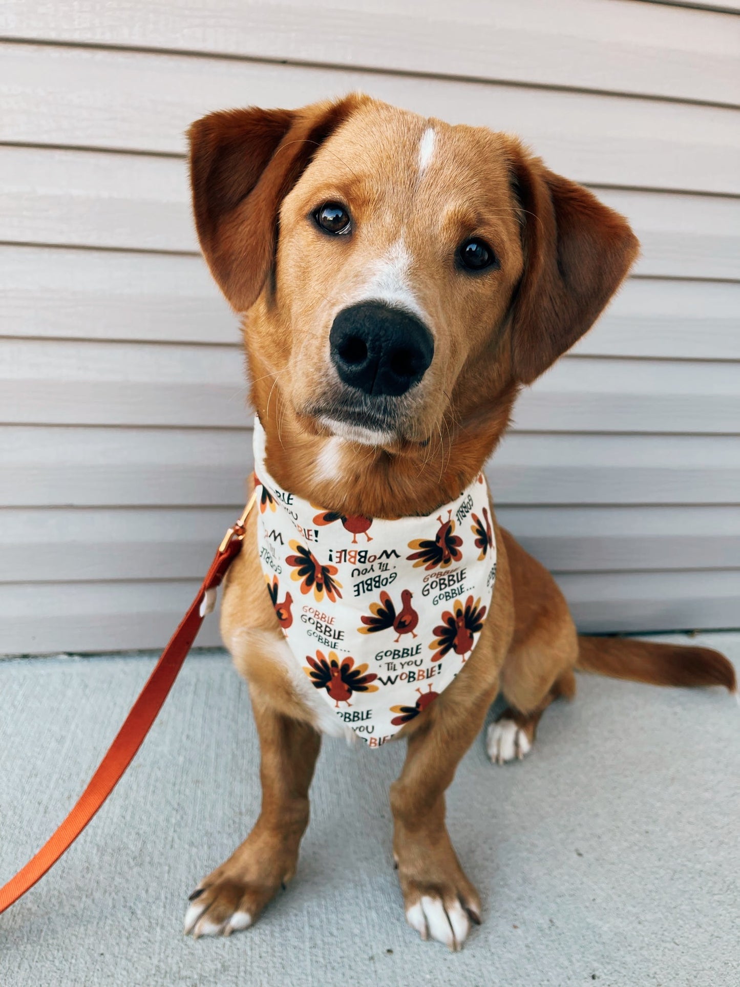 Gobble ‘Til You Wobble Dog Bandana