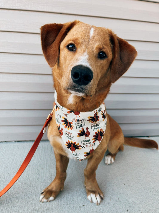 Gobble ‘Til You Wobble Dog Bandana