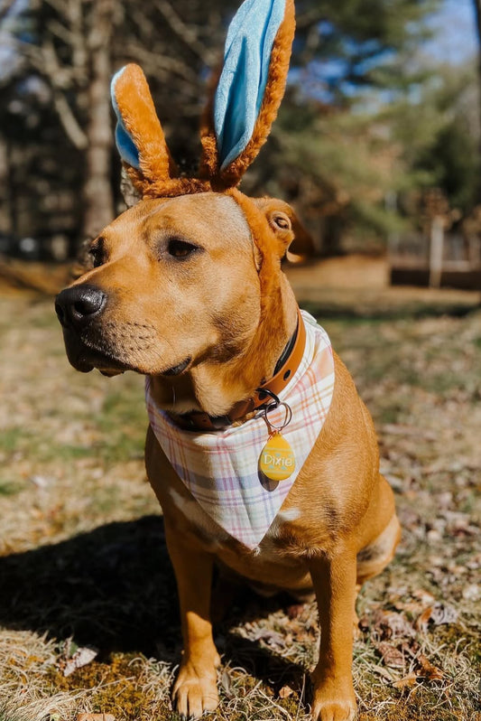 Easter Plaid Dog Bandana
