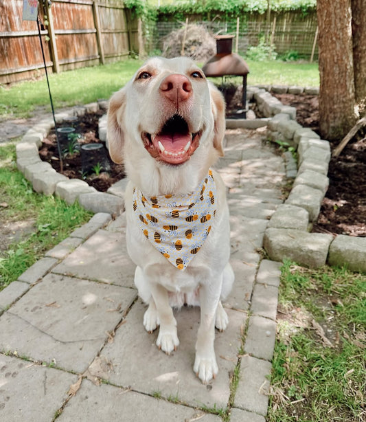 Bee Happy Reversible Dog Bandana