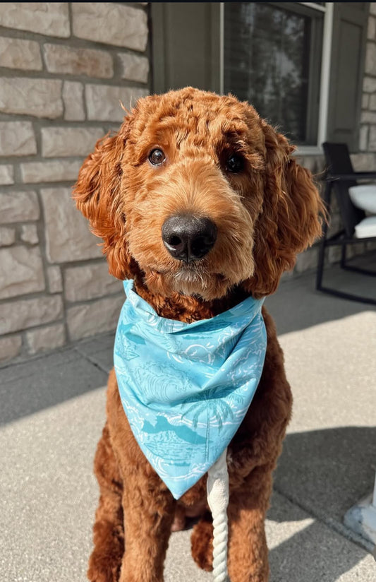 Sea Breeze Swim Bandana