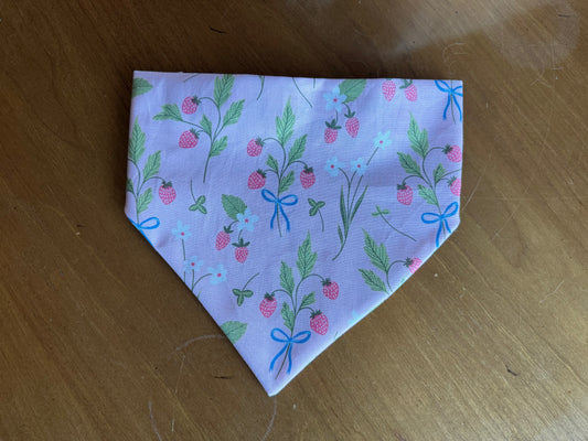 Strawberry Fields Dog Bandana