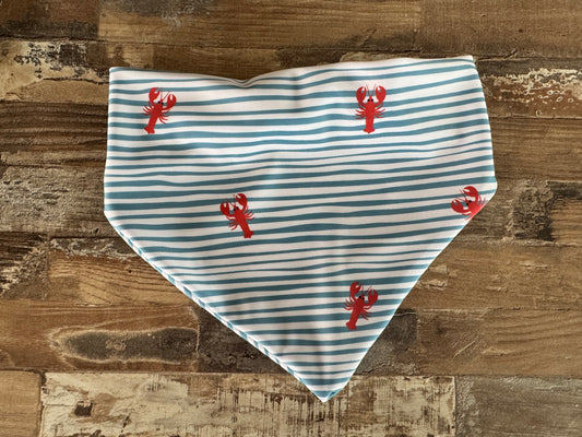 Coastal Claws Swim Bandana