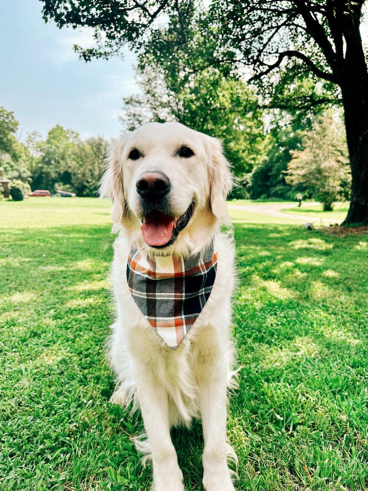 Hocus Pocus Flannel Dog Bandana