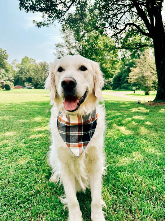 Hocus Pocus Flannel Dog Bandana