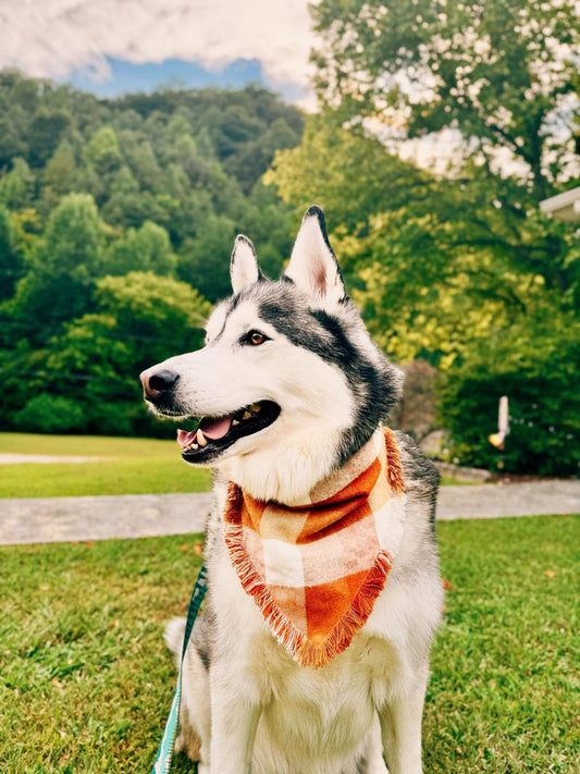 Sweater Weather Flannel Dog Bandana
