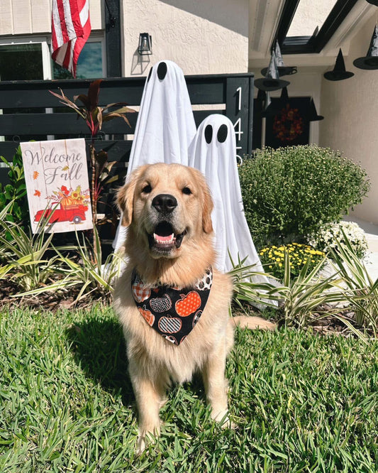 Pumpkin Patch Dog Bandana