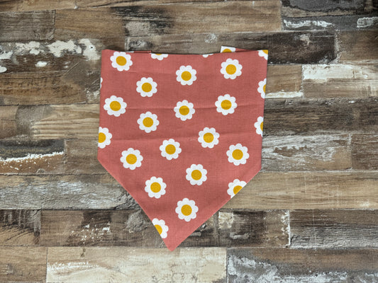 Chasin’ Daisy Dog Bandana