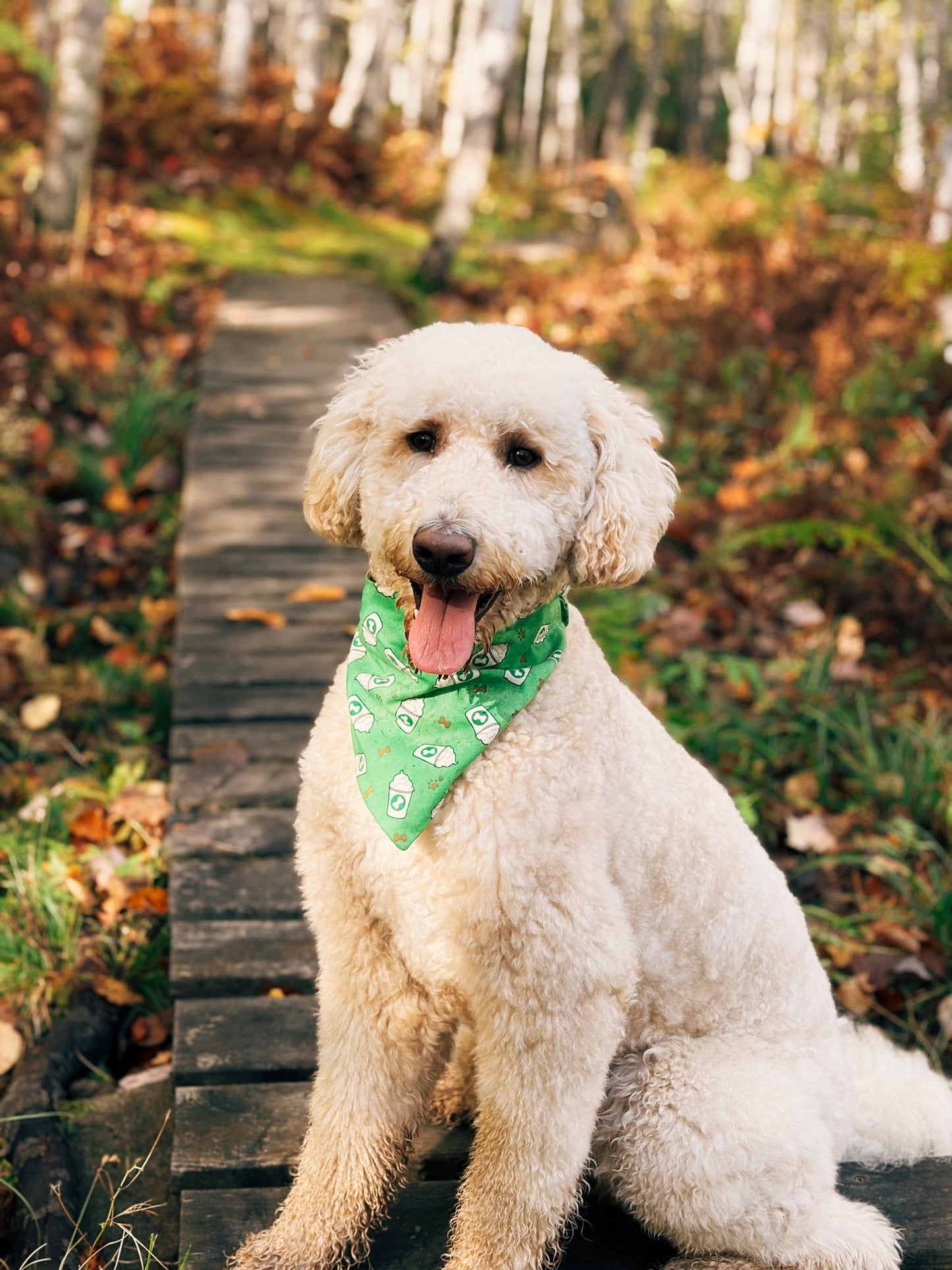 Puppuccino Dog Bandana