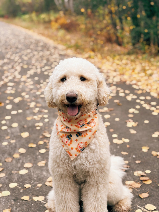 Candy Gobbler Dog Bandana
