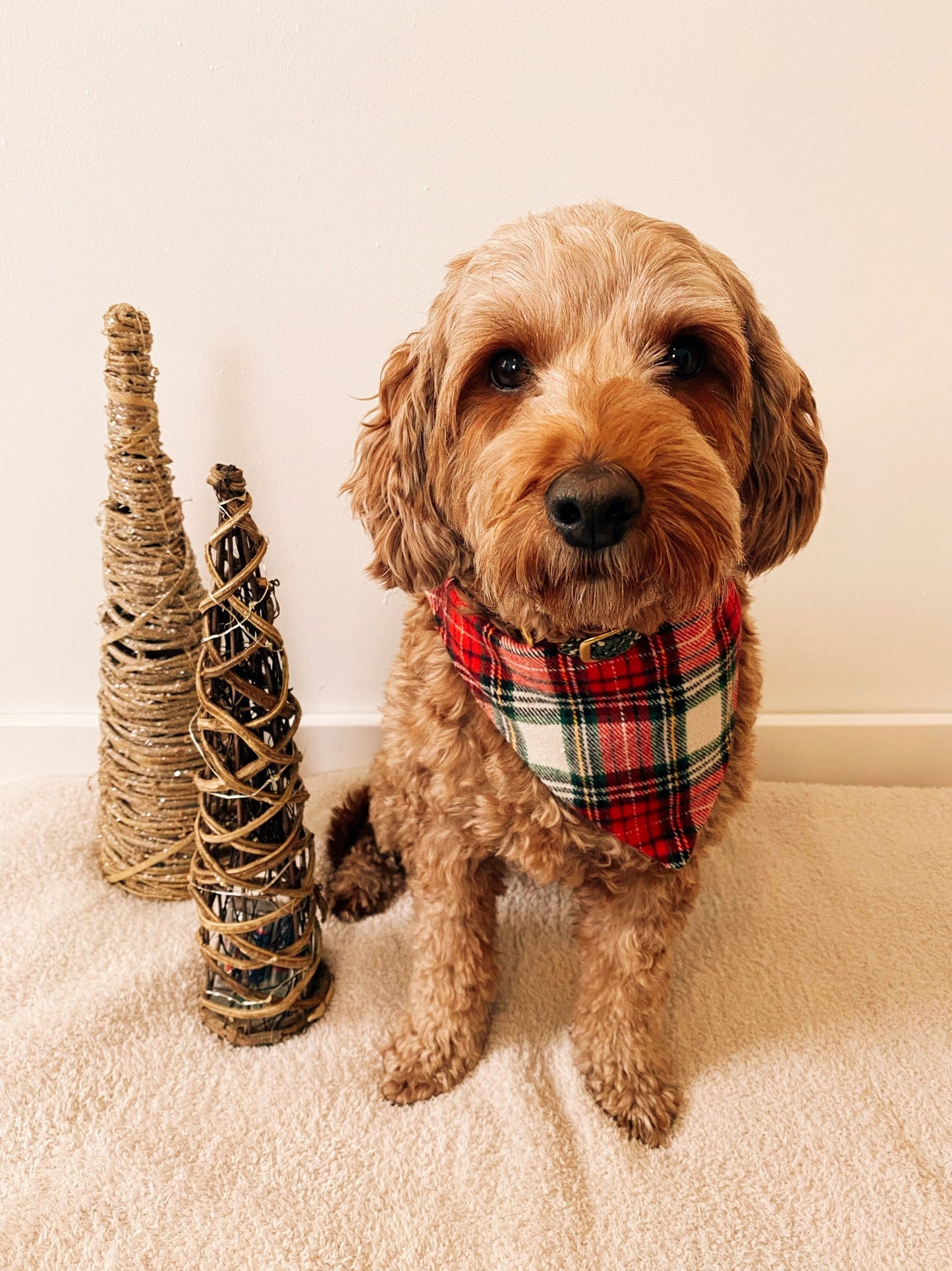 Holly Jolly Plaid Dog Bandana