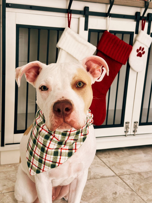 Merry & Bright Plaid Dog Bandana