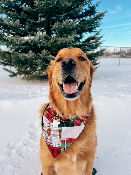 Christmas Patchwork Dog Bandana