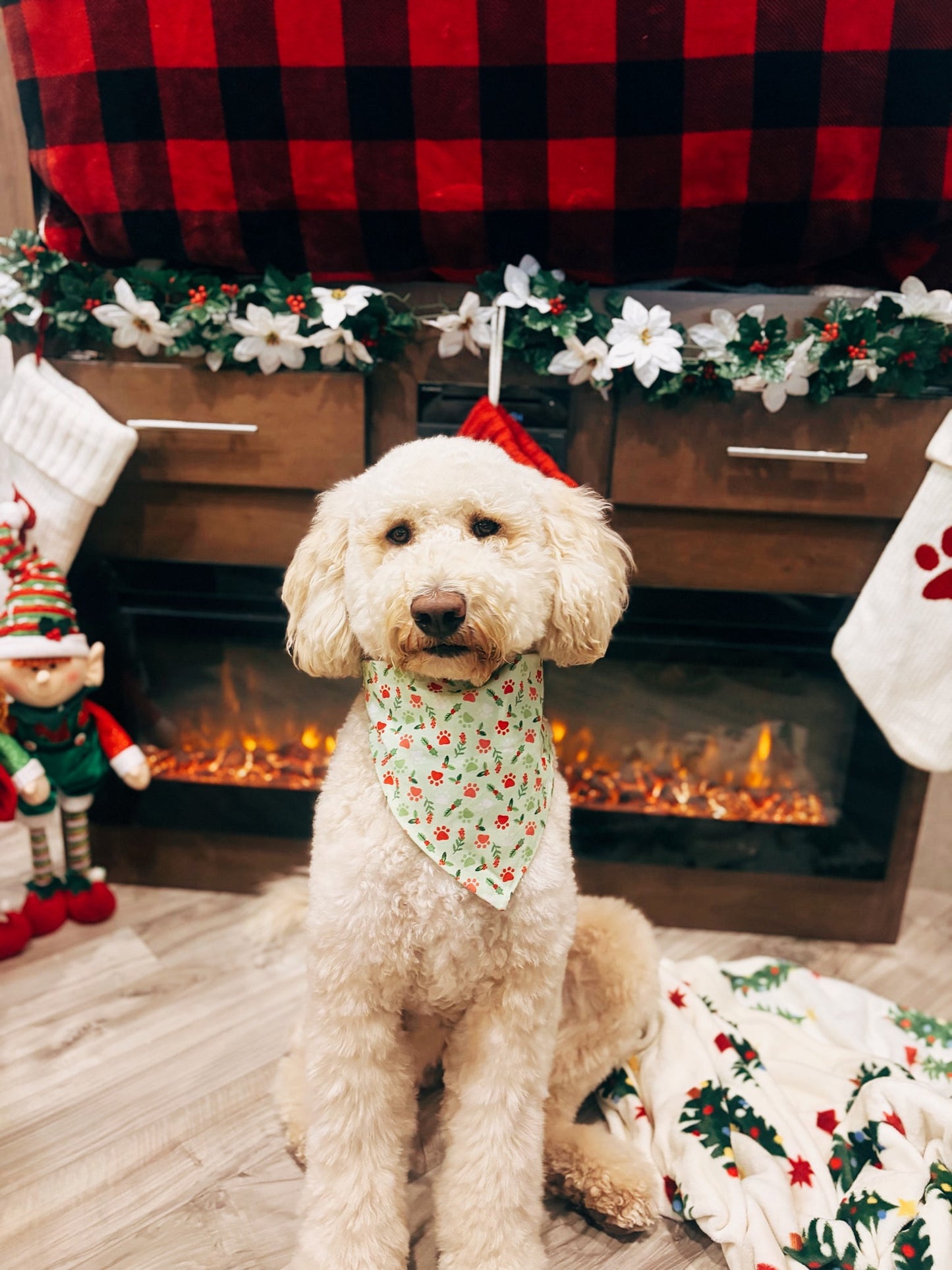 Santa Paws Dog Bandana