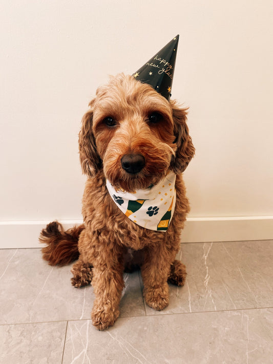Time to Pawty Dog Bandana