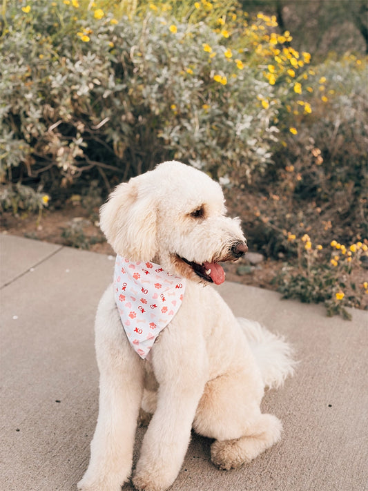 I Woof You Dog Bandana