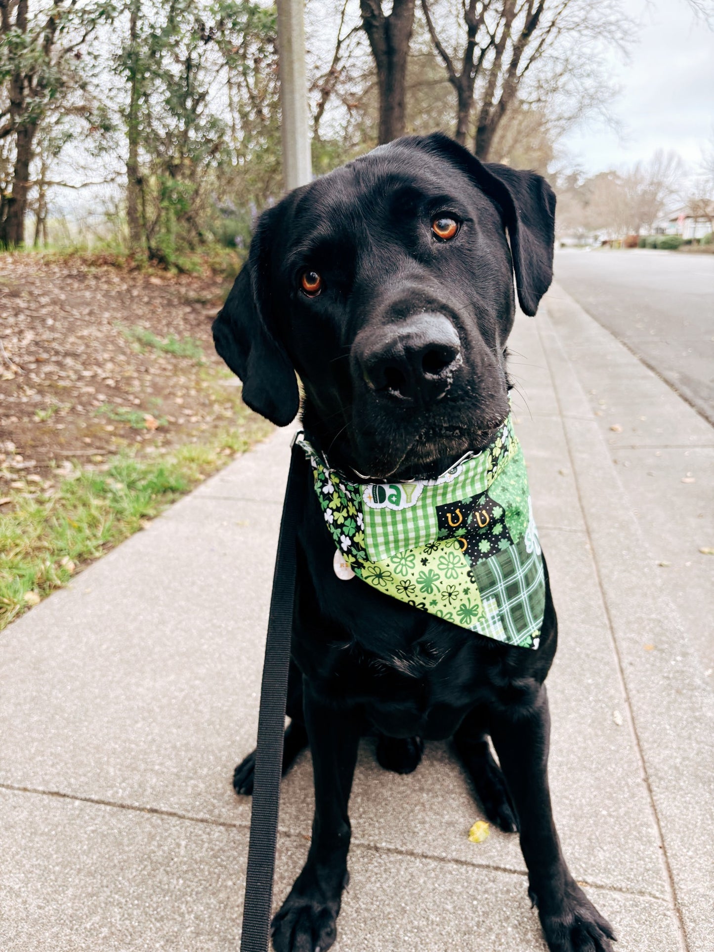 St. Patty Patchwork Dog Bandana