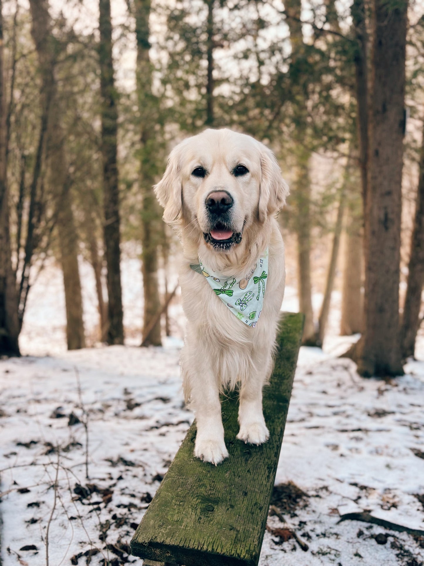 Mom’s Lucky Charm Dog Bandana